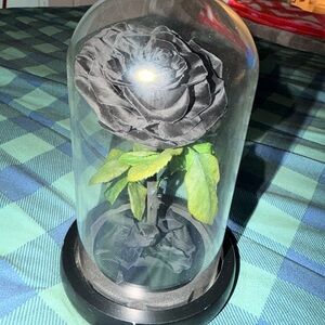 Black Rose in Glass Dome